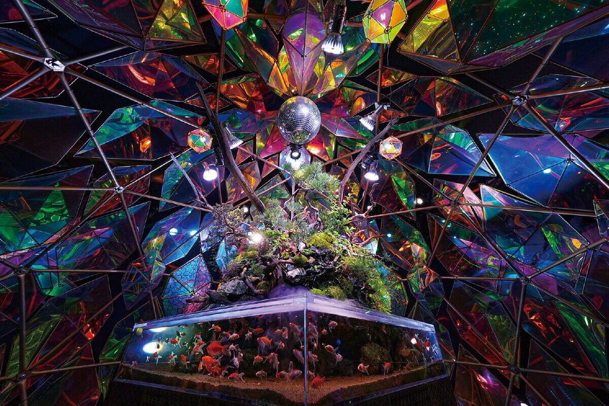 🐠 나라 금붕어 박물관 (나라 킹교 뮤지엄) 이미지 8